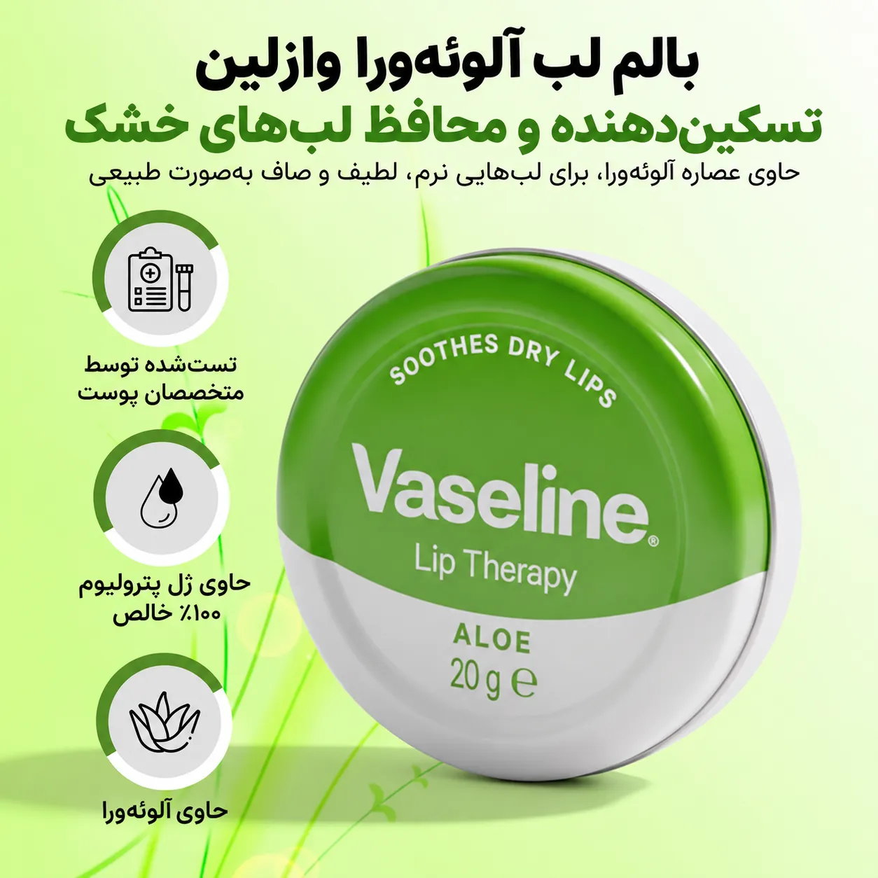 بالم لب وازلین لیپ تراپی آلوئه‌ورا در قوطی سبز و سفید، همراه با متن معرفی محصول و تصویر بسته‌بندی